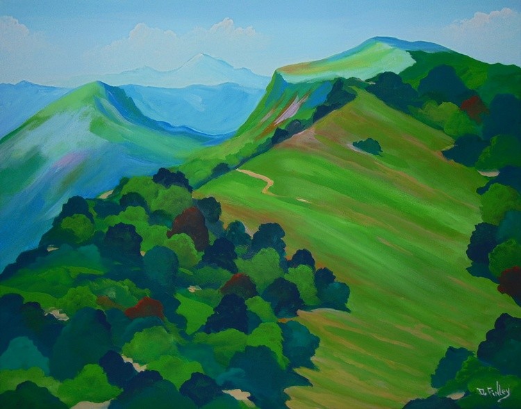 mountain pasture