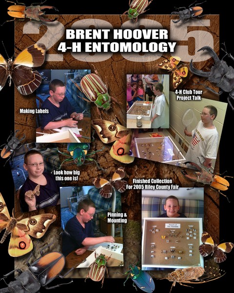 Brents Entomology