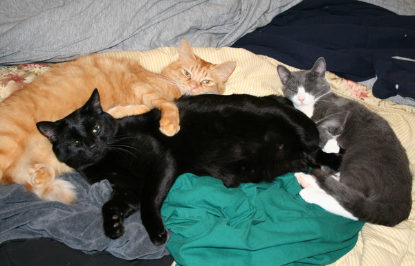 My boys