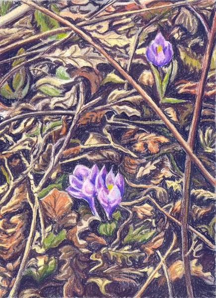 Scent of Spring