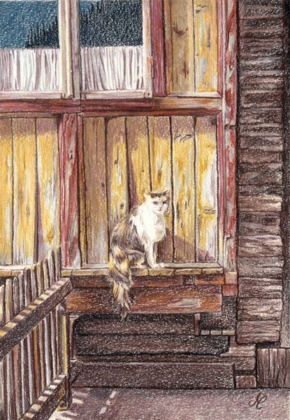 The Cat