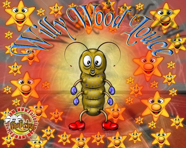 Willy Wood Louce