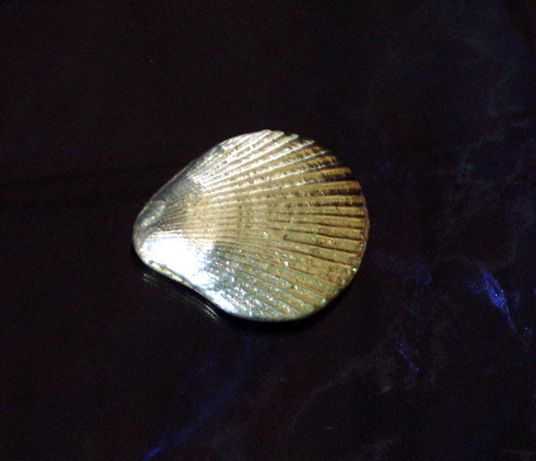 shell blue