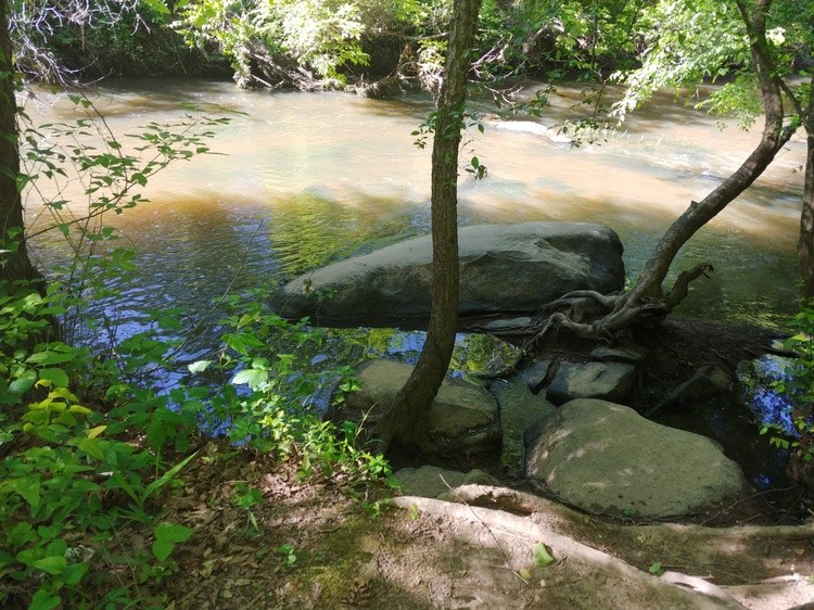 Nature View