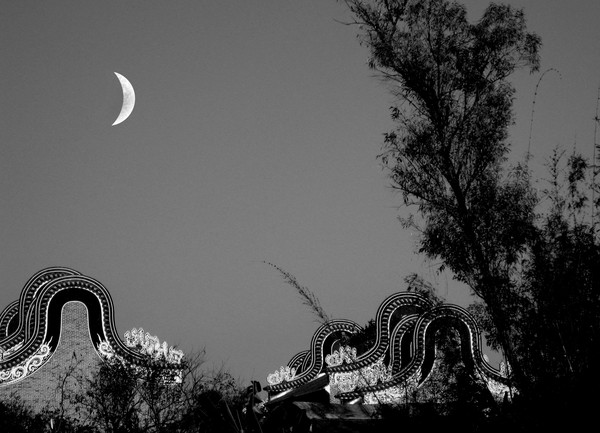 soft moonlit