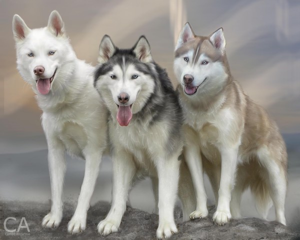 The Three Amigos