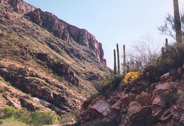Sabino Canyon