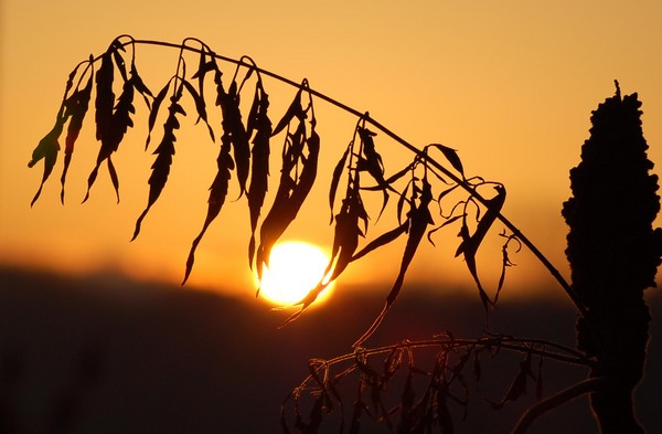 Sunrise Surprise