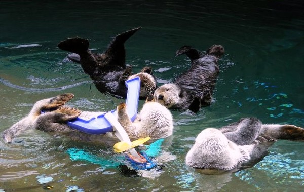Splish and splash!