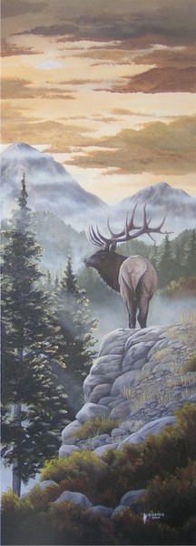 Rocky Mountain Elk