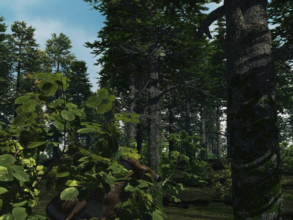 Hidden