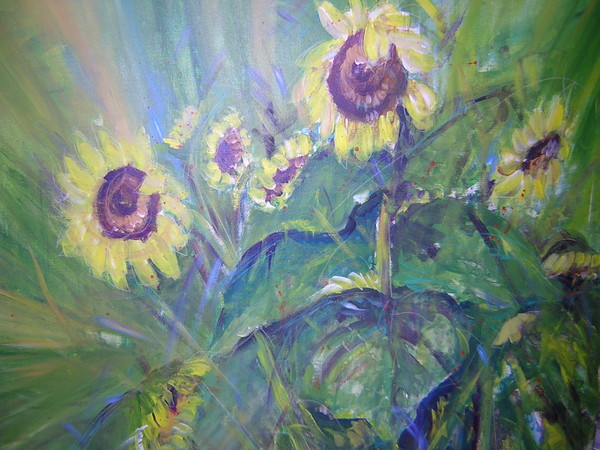 Sunflower