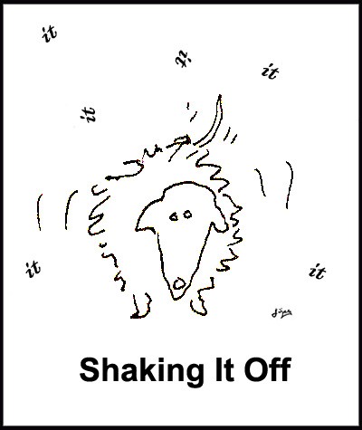 Shaking It Off