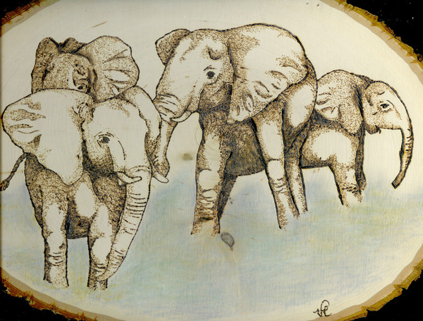 Elephants