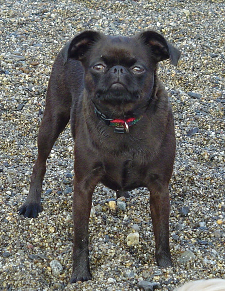 Kali at the Beach