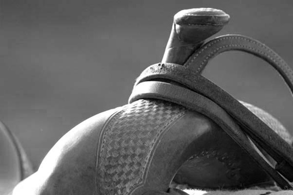 The Horn (in b&w)