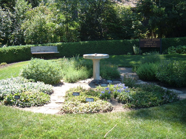 Butterfly Garden