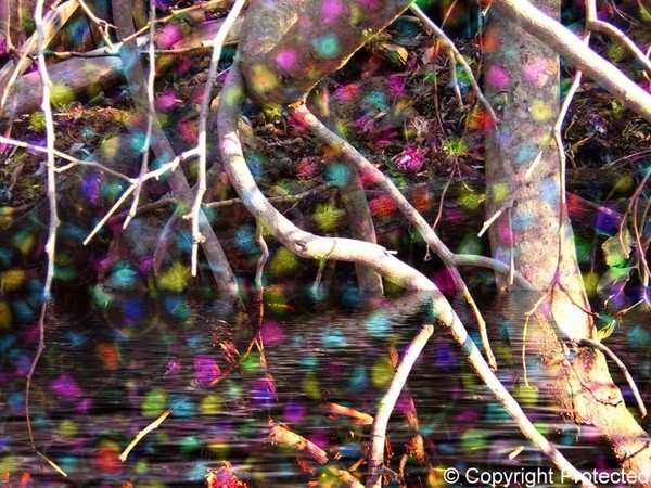 Abstract Trees