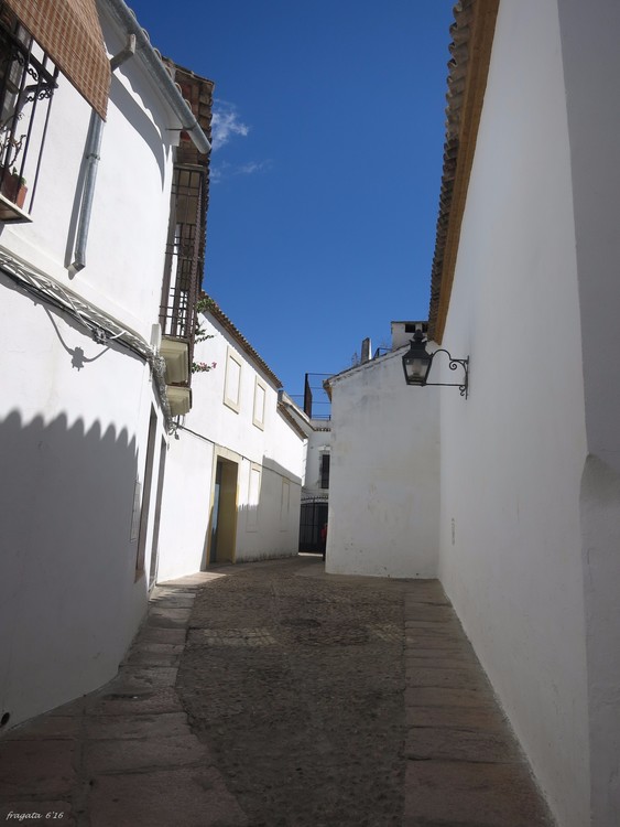 a summer in Andalucia (IV)