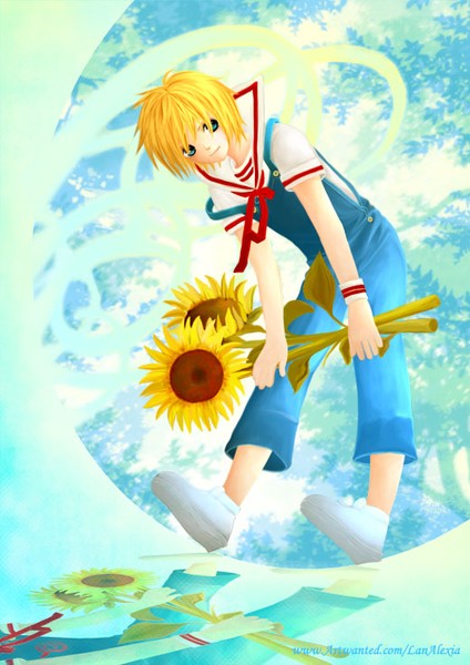 Shining Reflection