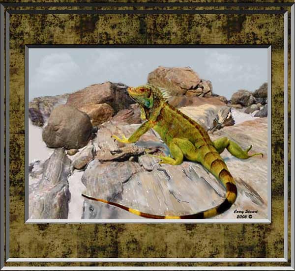 a Lizard
