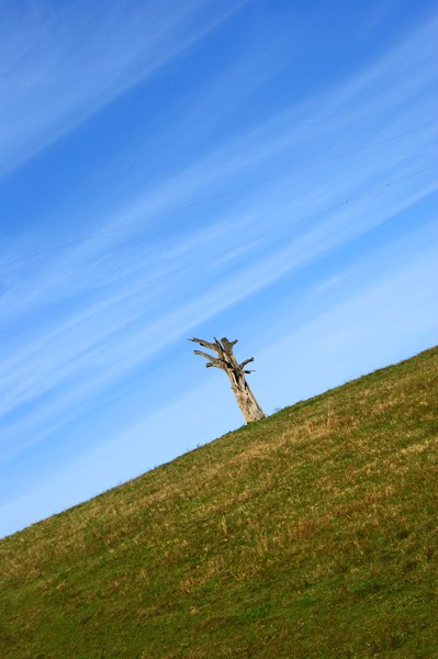 Alone