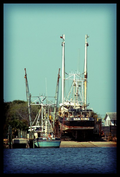 The Sea King & Miss Aline