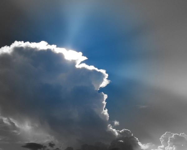 Blue And Grey