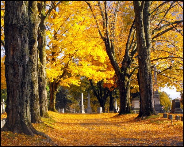 Autumn In The Cemetery