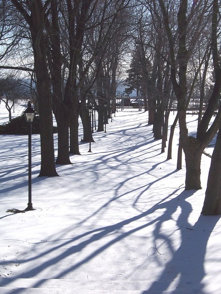 Winter path