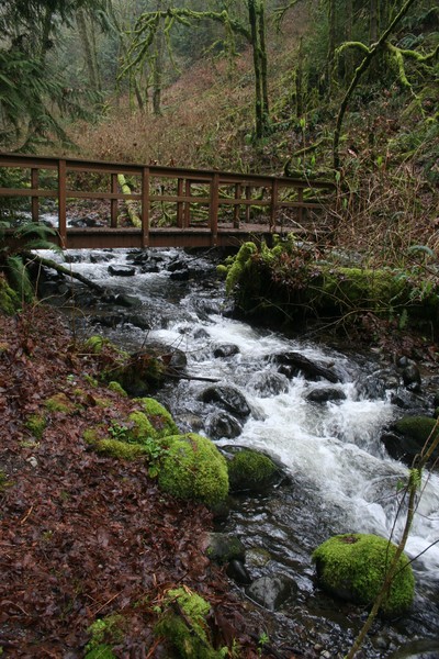 The Stream Trail