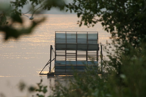 Tanana Fishwheel