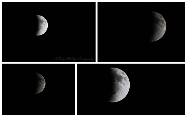 Moon Eclipse