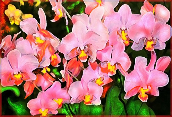 A SPRIG OF PASTEL PINK LADIES IN WAITING