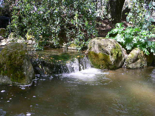 Falling Water