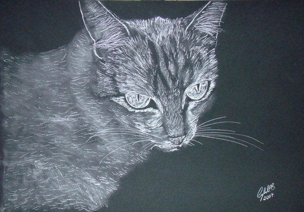 Silver Cat