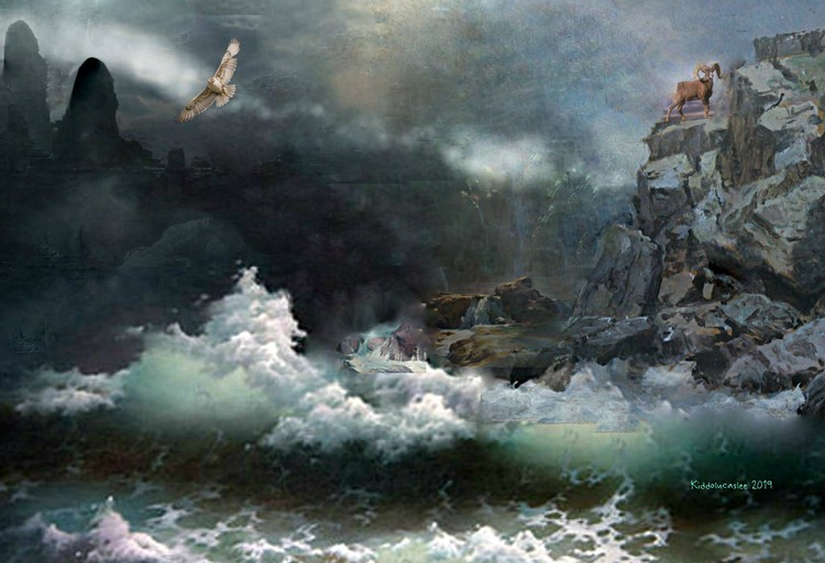 Nightwilight Rapid   *   2019 Kiddolucaslee