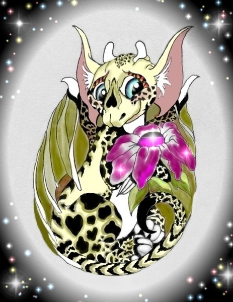 Baby dragon