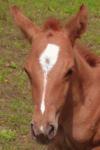 K.c new baby girl