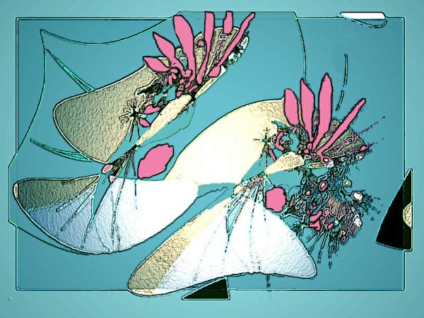 Buterfly