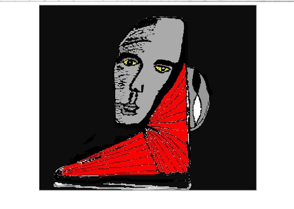 The Masked Man