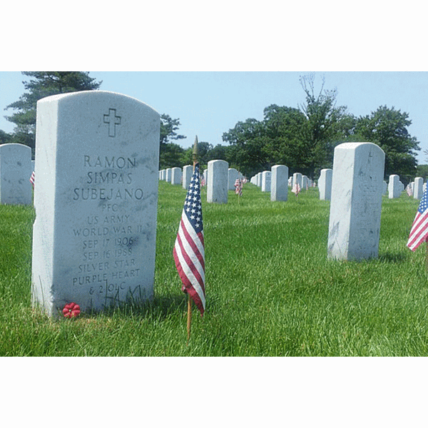 Semper fi #8