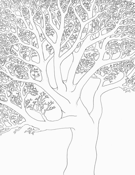Pencil Art Pictues 064