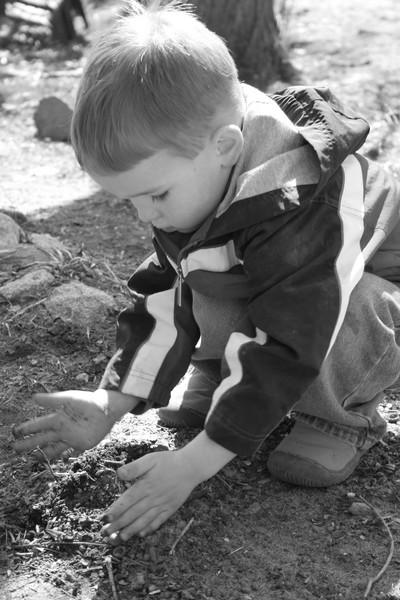 Playing In The Dirt