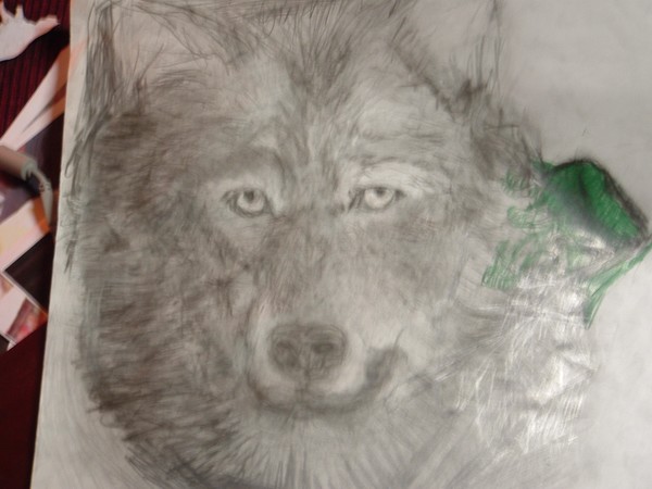 Wolfie