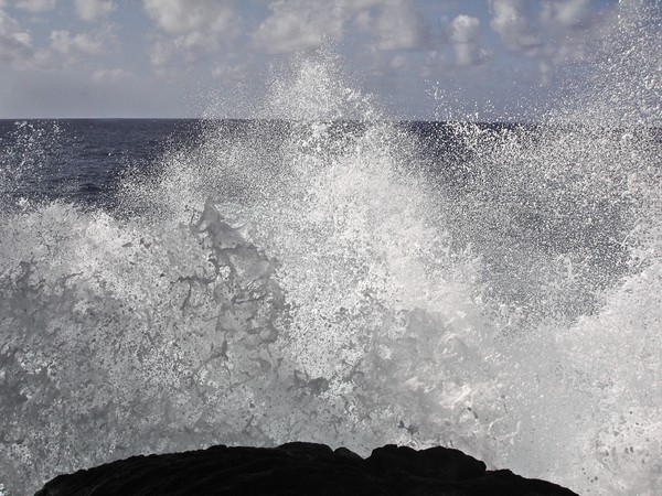 Ocean In Motion 0069