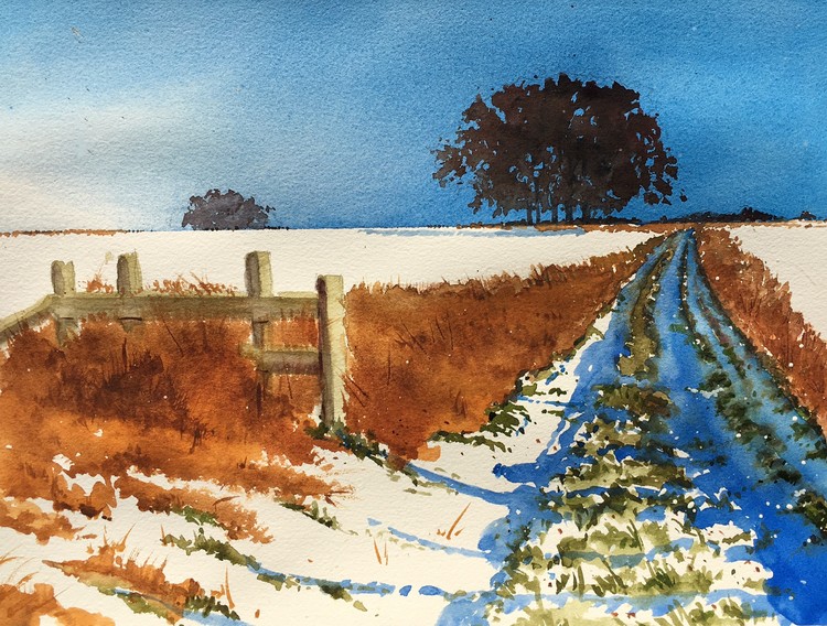 Winter Fence