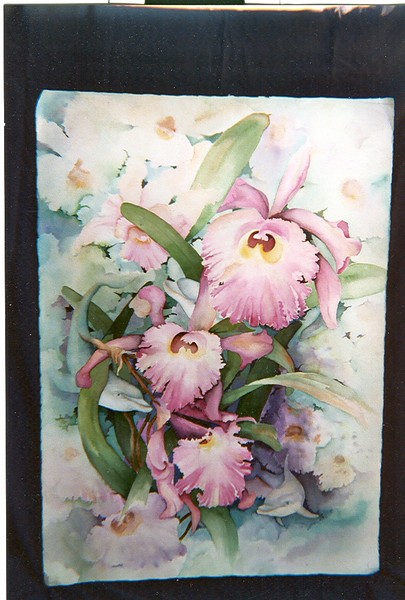 Orchids and Dolphins