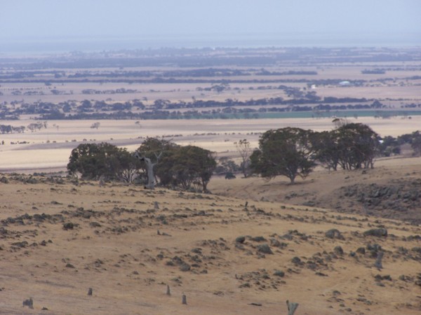 Strathalbyn, South Australia .