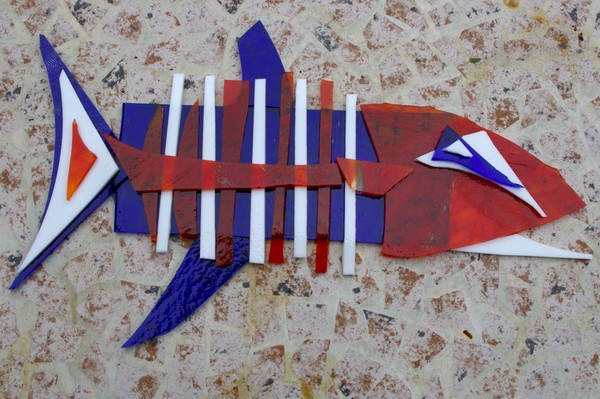 Blue/White fish